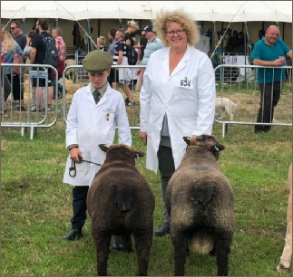 Award winning Coloured Ryelands