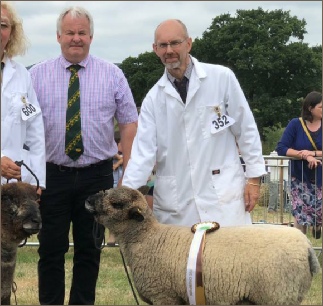 Award winning Coloured Ryelands