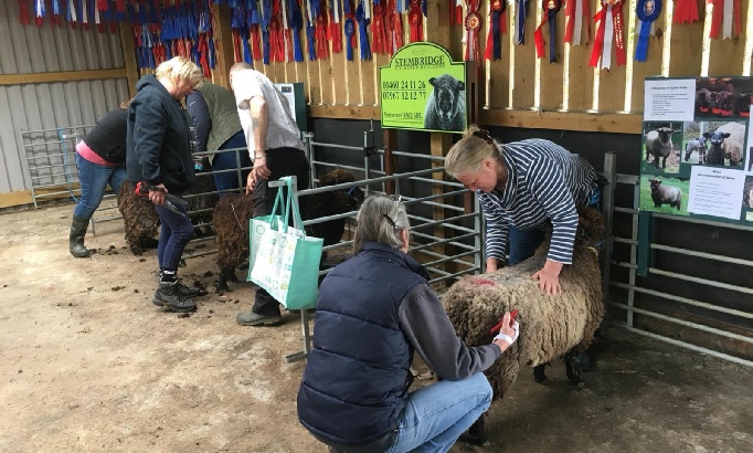 Events and fun days at Stembridge