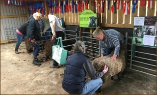 Events and fun days at Stembridge