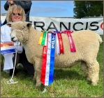 Award winning Coloured Ryelands