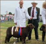 Award winning Coloured Ryelands