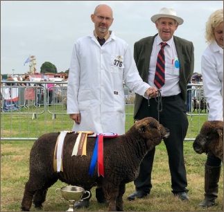 Award winning Coloured Ryelands