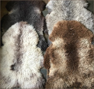 Coloured Ryeland fleeces for sale