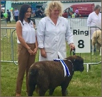 Award winning Coloured Ryelands