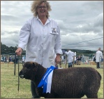 Award winning Coloured Ryelands