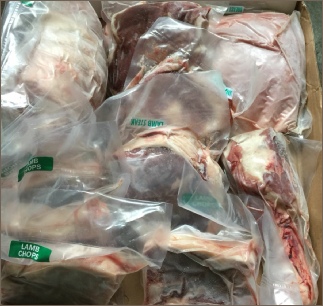 Coloured Ryeland butchered lamp